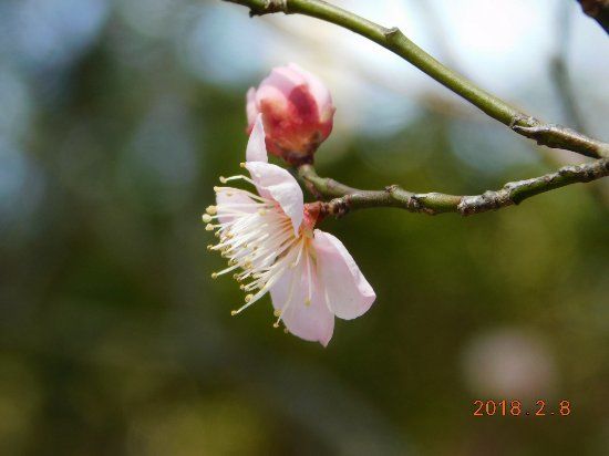 The Museum Yamato Bunkakan